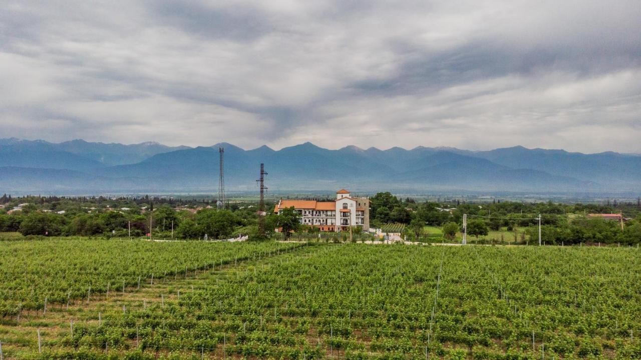 Tsinandali Resort & Spa Kültér fotó