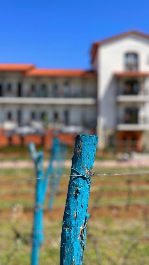Tsinandali Resort & Spa Kültér fotó